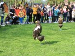 IMG_2001
