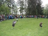 IMG_2011