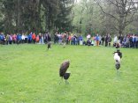 IMG_2013