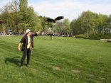 IMG_2038