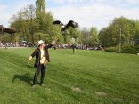 IMG_2039