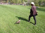 IMG_2061