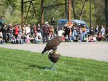 IMG_2069