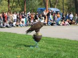 IMG_2073