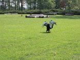 IMG_2081