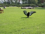 IMG_2082