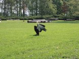 IMG_2083