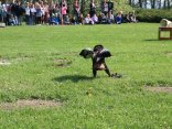 IMG_2087