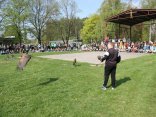 IMG_2140