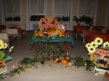 IMG_0120