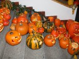 IMG_0124