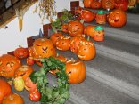IMG_0125