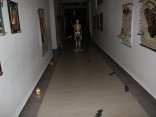 IMG_0243
