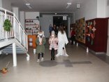 IMG_0246