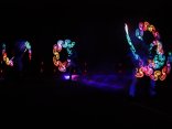 IMG_6338