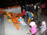 IMG_6589