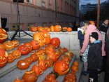 IMG_2438