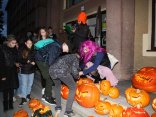IMG_2485