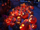 IMG_2540