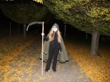 IMG_2588
