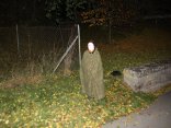 IMG_2589