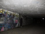 IMG_2591