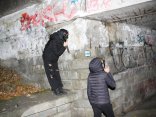 IMG_2594