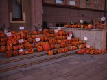 DSCF9447