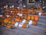 DSCF9461