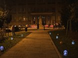 DSCF9782