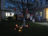 IMG_1919