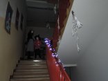 2_Dynobrani-010