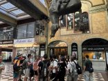 Kopie-souboru-IMG_4103