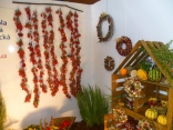 P1100088
