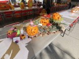 IMG_0936