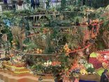 IMG_0954