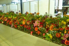 Flora  4-22