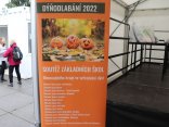 IMG_6679
