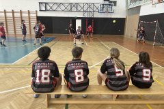 Házená 4-25