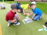 IMG_20260612_135346