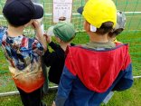 IMG_20260612_135929