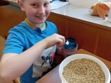 IMG_20220407_124911