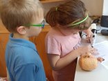 IMG_20220407_132011