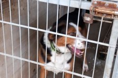 Jsem laskavec ŠD 11-25