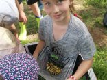 IMG_20230608_161454