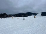 IMG-20250129-WA0139