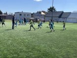 IMG_3544