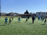 IMG_3546