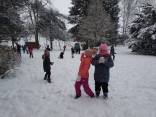IMG_20190108_143255
