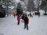 IMG_20190108_143314
